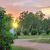 Sunset 02