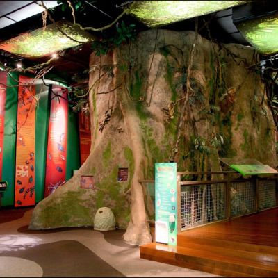 Museum of Tropical Queensland